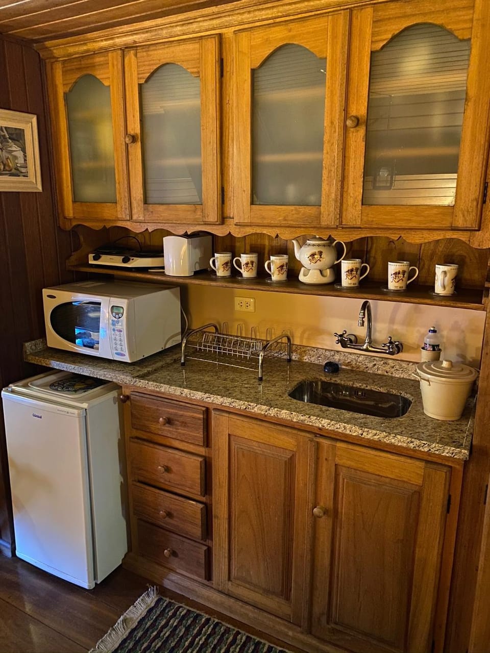Kitchen or kitchenette, Pets, microwave, minibar, oven