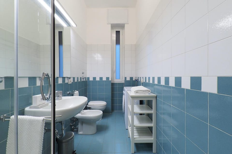 Shower, Toilet, Bathroom, bidet
