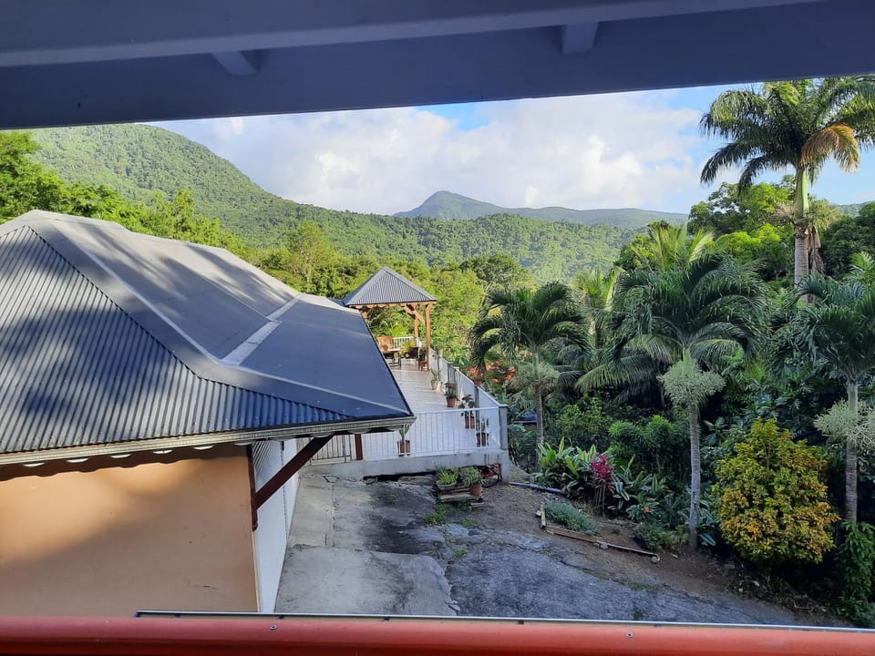 Garden view, Mountain view