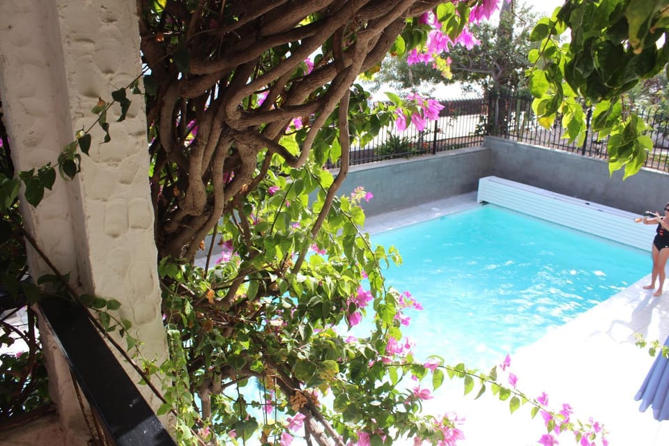 Swimming pool, Swimming pool