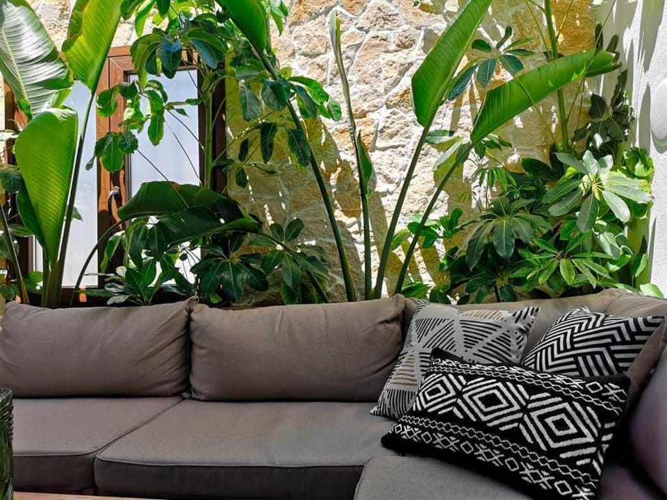 Casa Rural Albireo, rebosante de luz y naturaleza. Farm Stay in Faro District