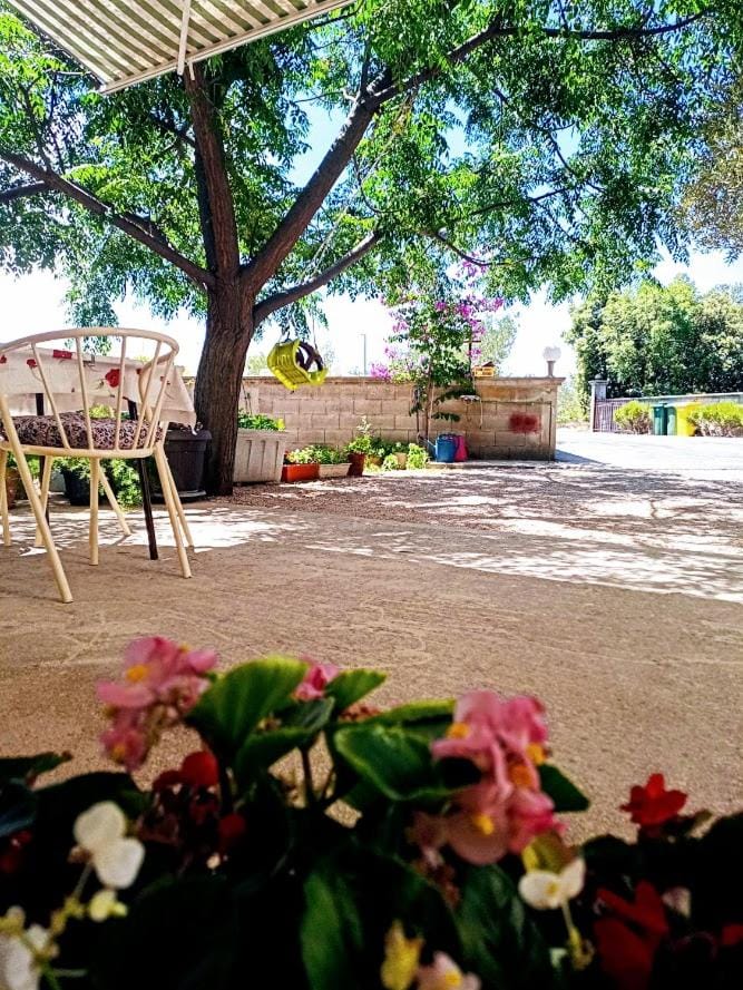 Apartmani Henjak Apartment in Tisno