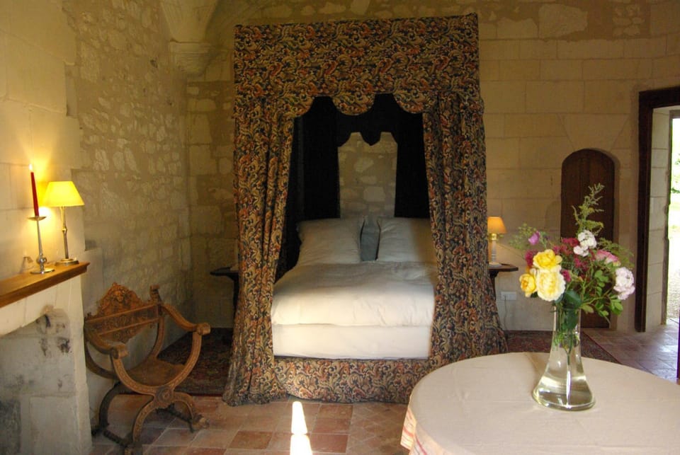 Château de Veuil Bed and Breakfast in Centre-Val de Loire