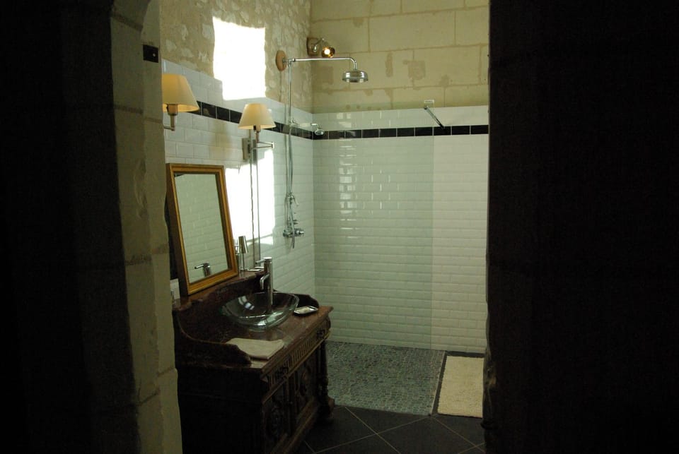 Château de Veuil Bed and Breakfast in Centre-Val de Loire