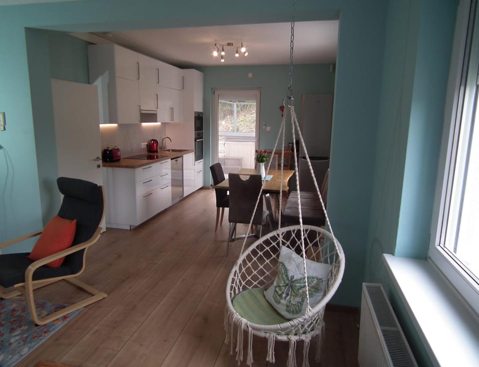 Living room, kitchen