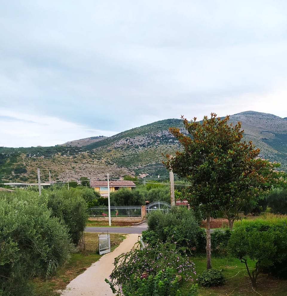 Garden, Mountain view