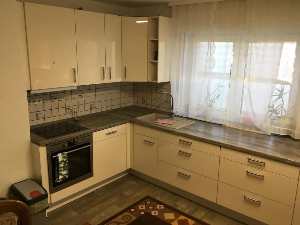 Kitchen or kitchenette, dishwasher, minibar, pet friendly, stove