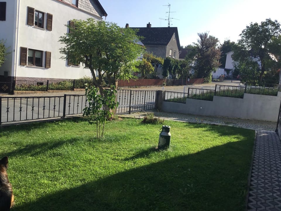 Day, Garden view