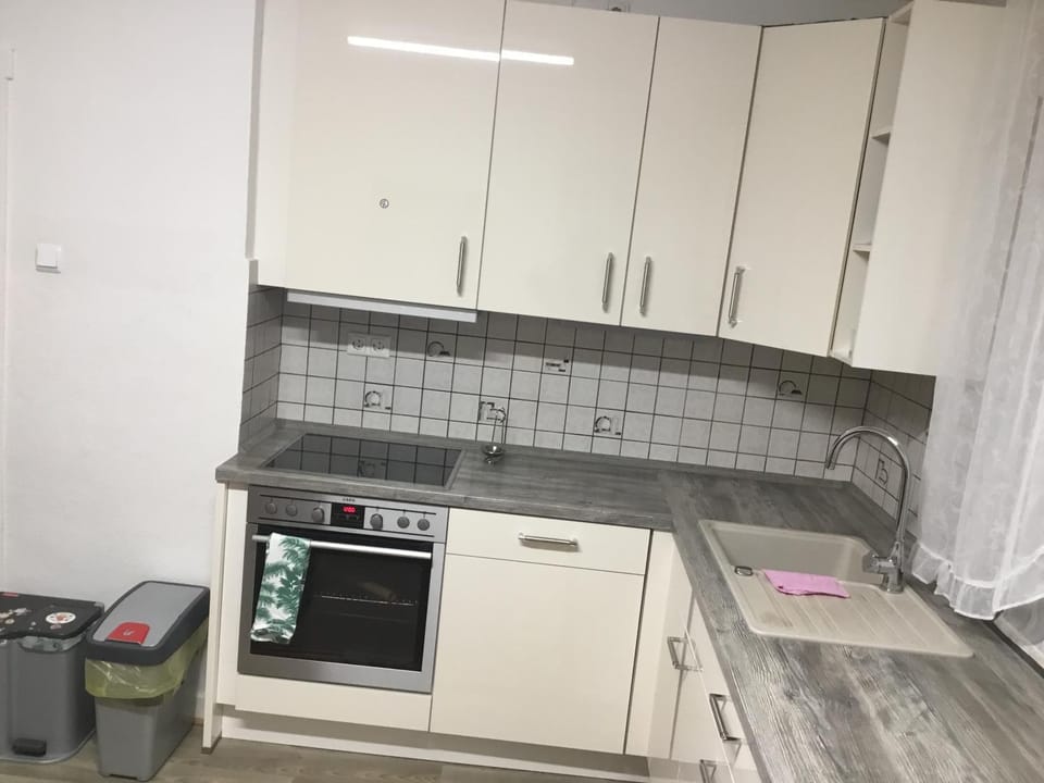 Kitchen or kitchenette, dishwasher