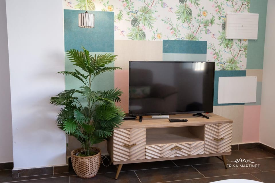 TV and multimedia