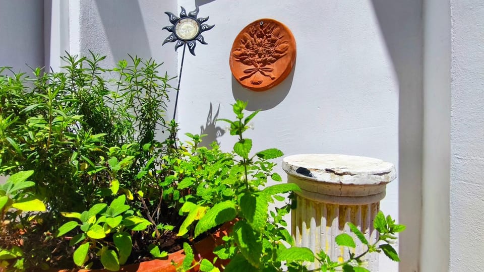 Casa Fotografului Studio Marines Apartment in Constanta
