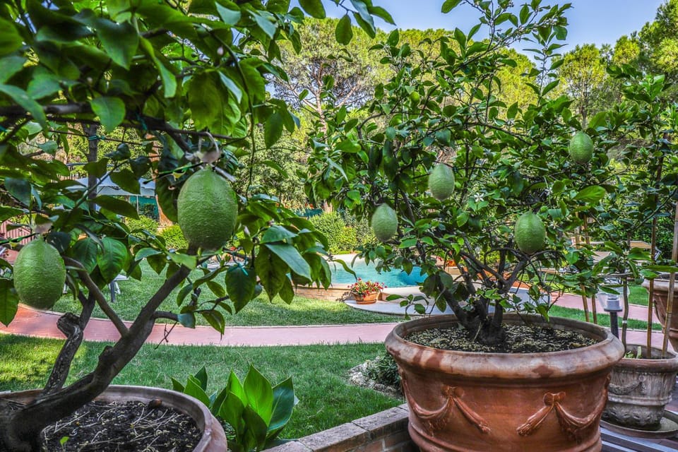 I Limoni Studios House in Umbria