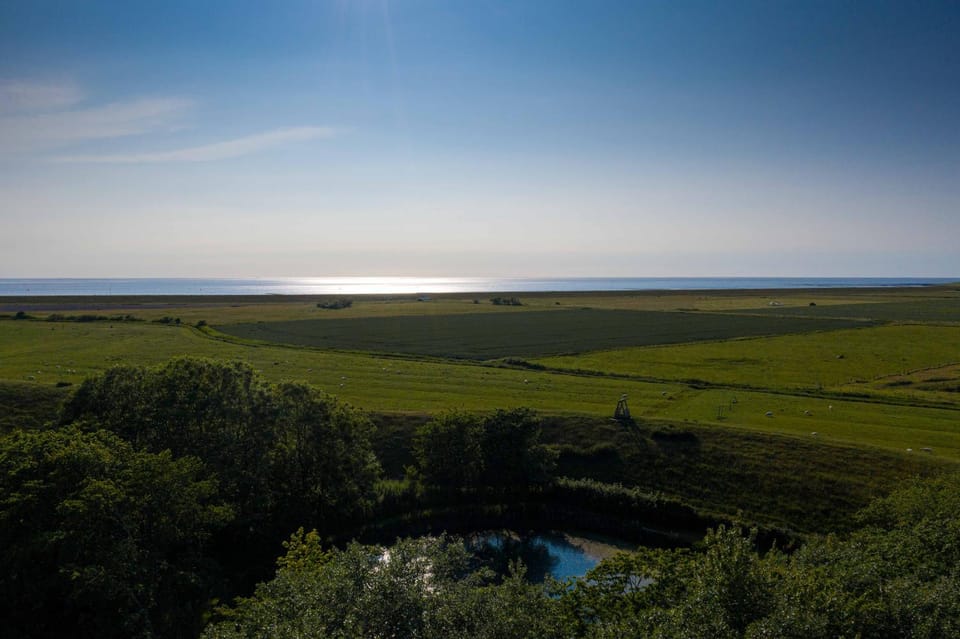 Property building, Bird's eye view