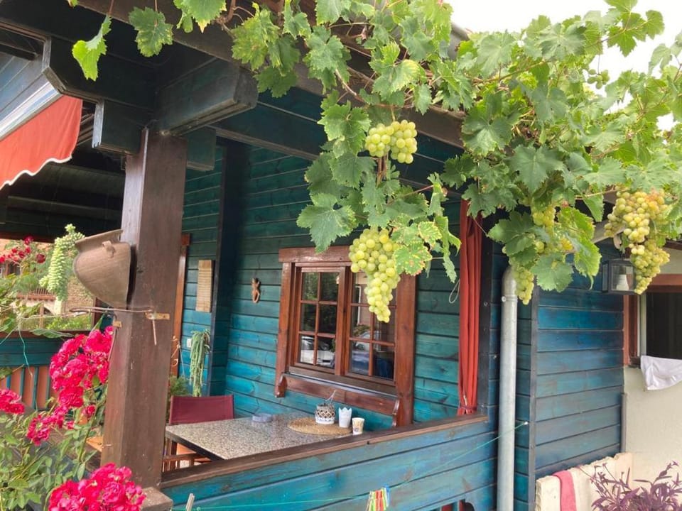 Casa Azul Apartment in Western coast of Cantabria