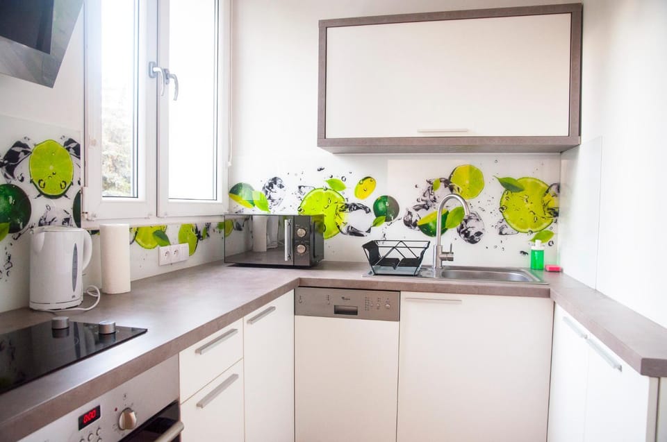 Kitchen or kitchenette, dishwasher, stove