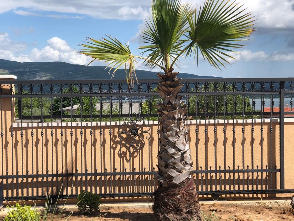 Spring, Mountain view