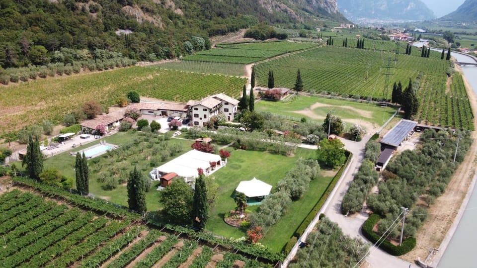 Bird's eye view, Garden view