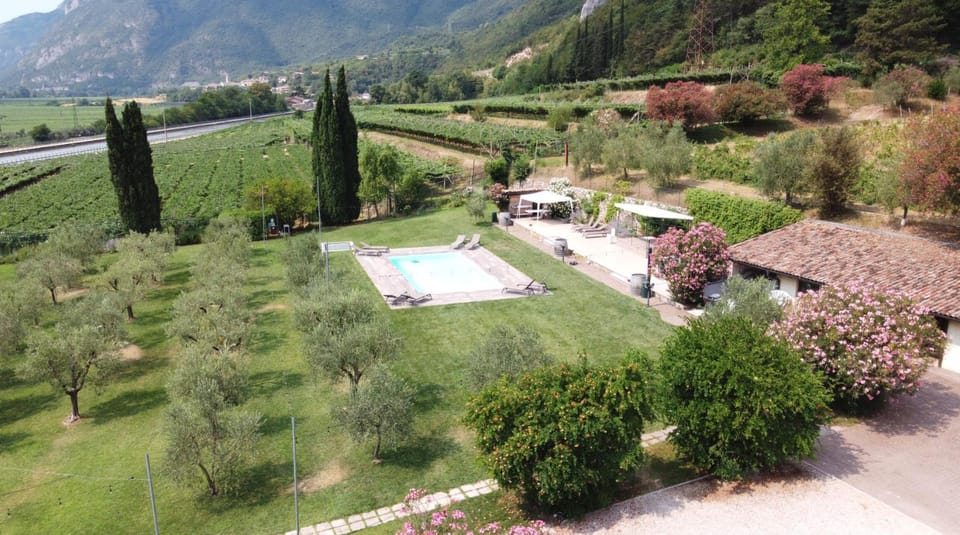 Bird's eye view, Swimming pool