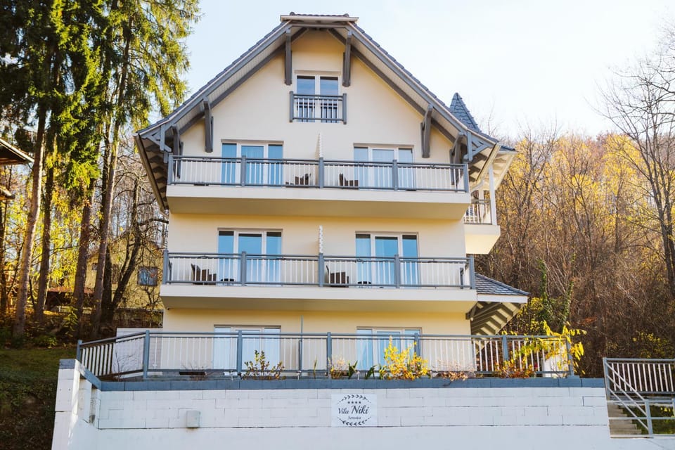 Vila Niki Villa in Romania