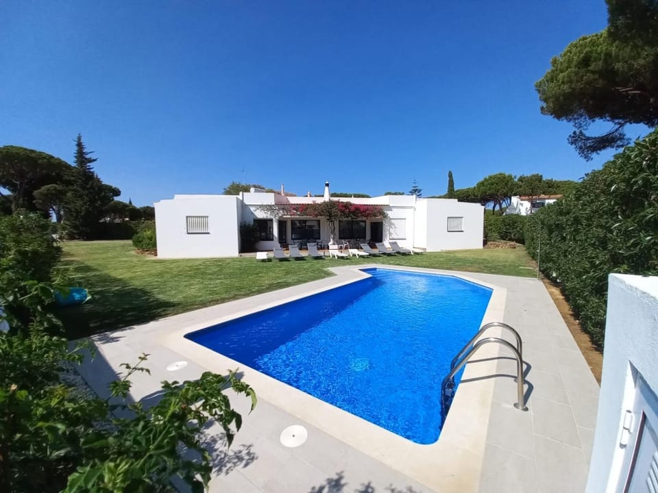 Garden, Swimming pool, sunbed