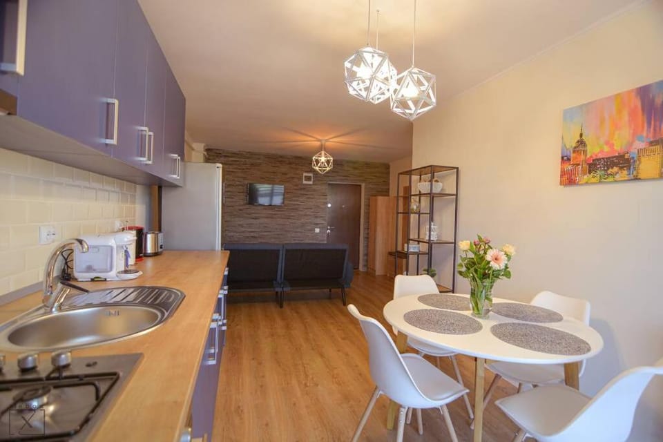 Kitchen or kitchenette, Living room, Seating area, Dining area, oven, stove