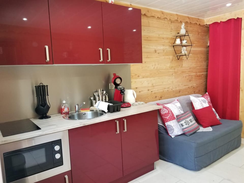 Studio cosi proximité Auron Apartment in Saint-Étienne-de-Tinée