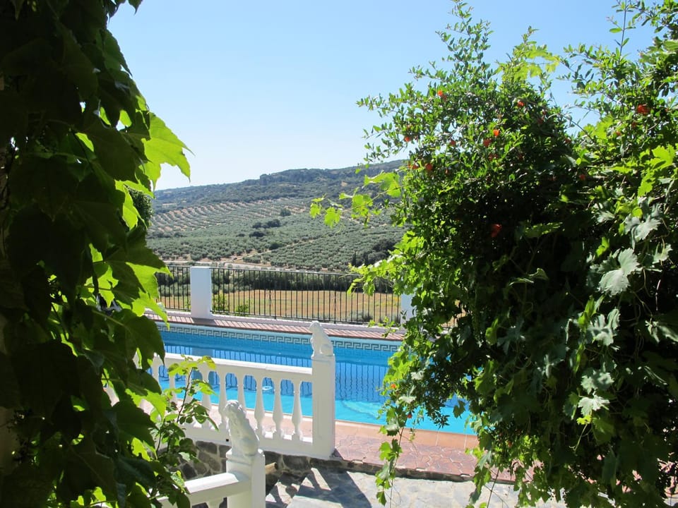 Pool view, Swimming pool, Swimming pool