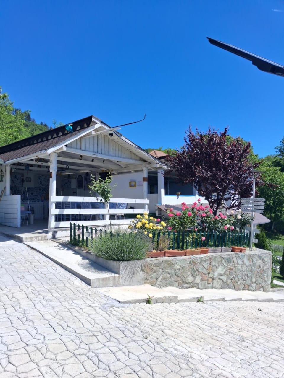 Casutele verzi din Ocnele Mari Campground/ 
RV Resort in Romania