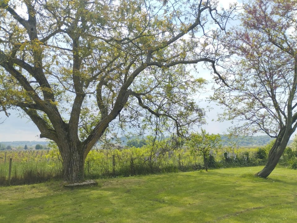 DameChouette Bed and Breakfast in Nouvelle-Aquitaine