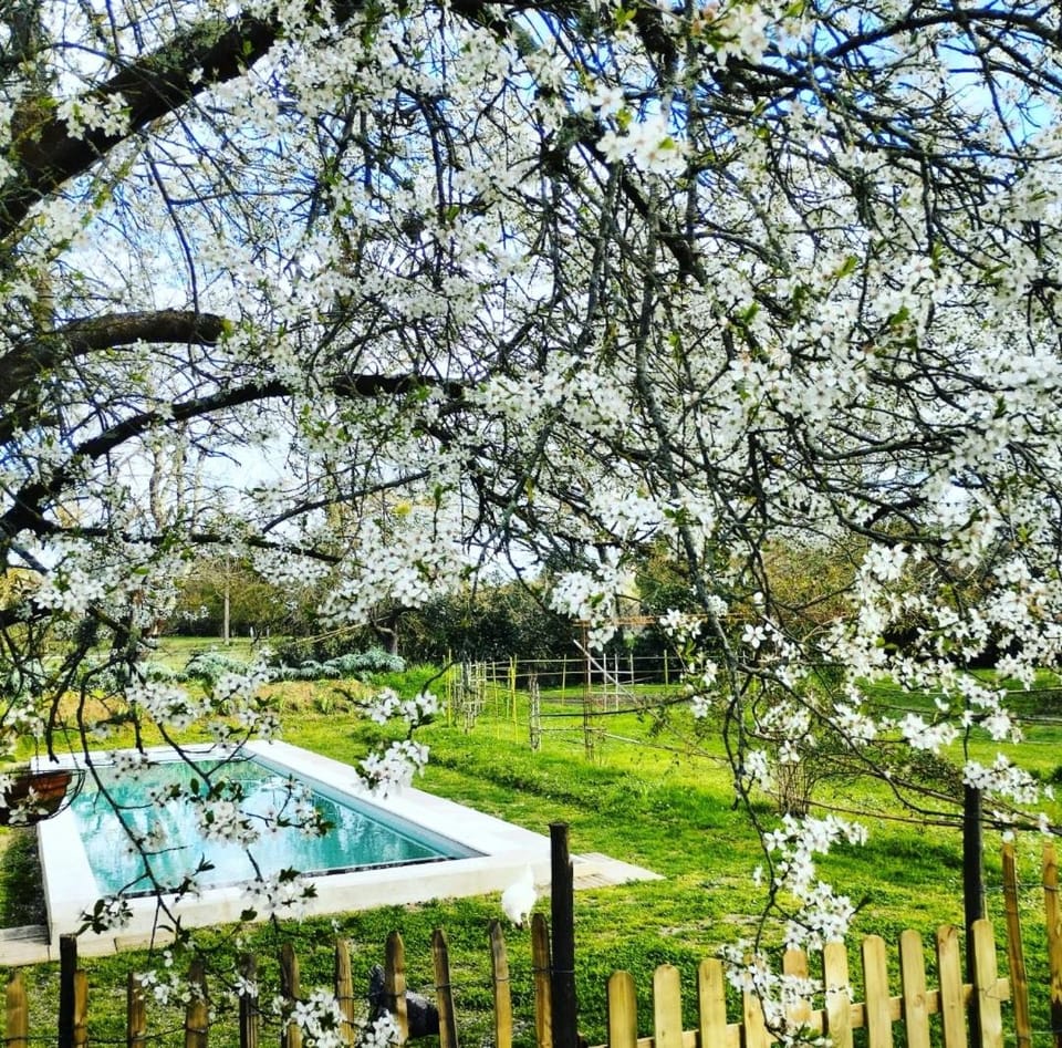 DameChouette Bed and Breakfast in Nouvelle-Aquitaine