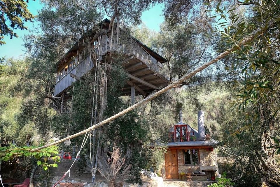Property building, Natural landscape, Garden