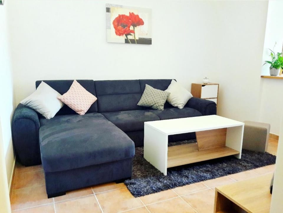 Apartment NENA near the city center with free parking Apartment in Pula