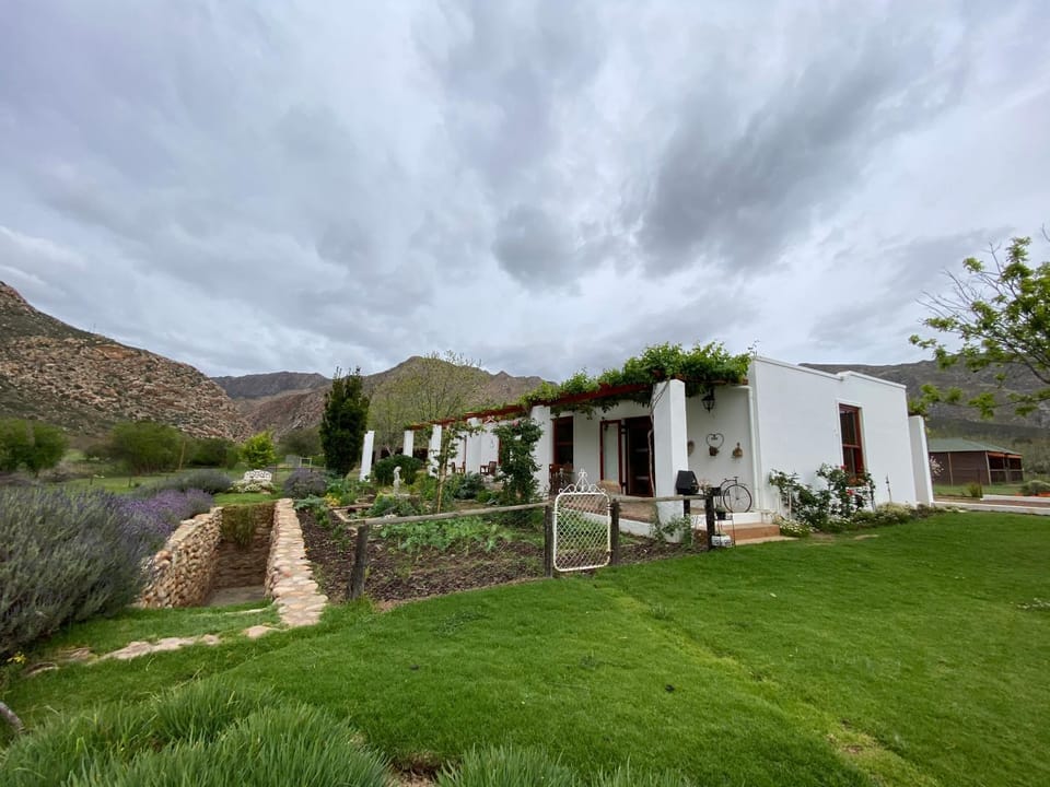 Spring, Garden, Garden, Library, Area and facilities, Area and facilities