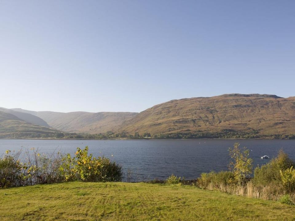tulips Apartment in Scotland