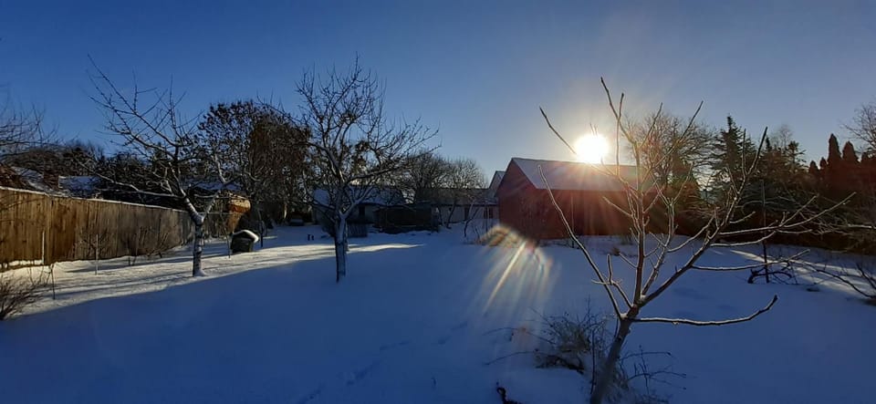 Winter