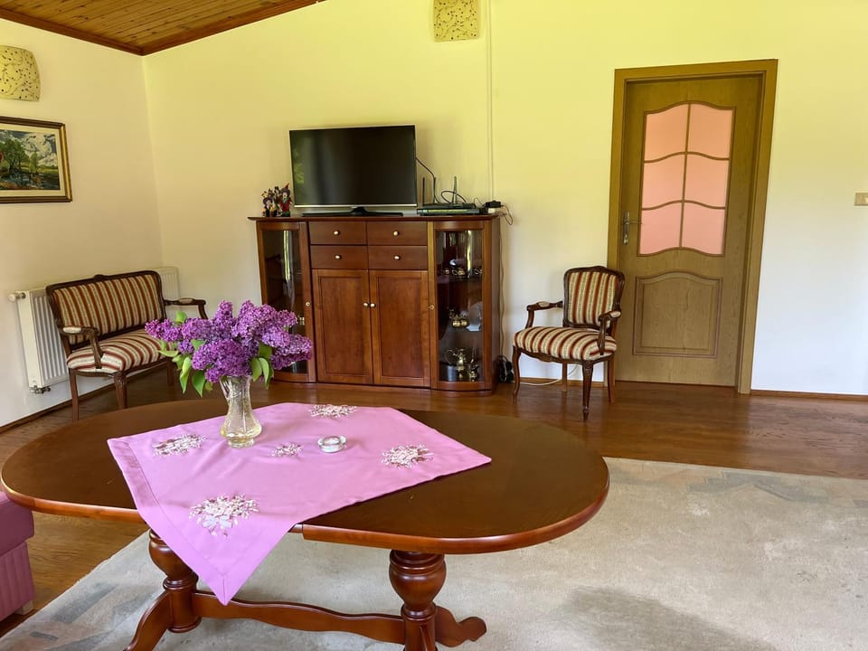 TV and multimedia, Living room