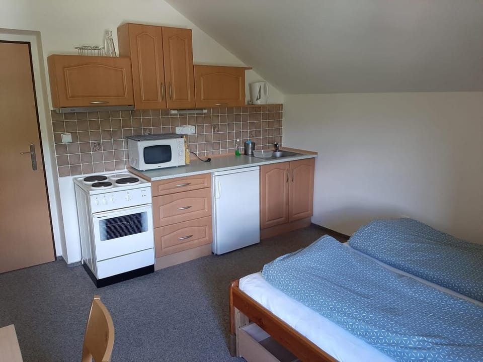 Pension Studenov Apartment in Lower Silesian Voivodeship