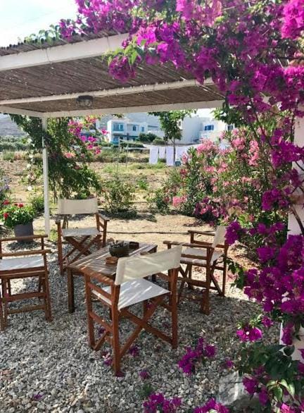 Katapola Vekris apartments Apartment in Decentralized Administration of the Aegean
