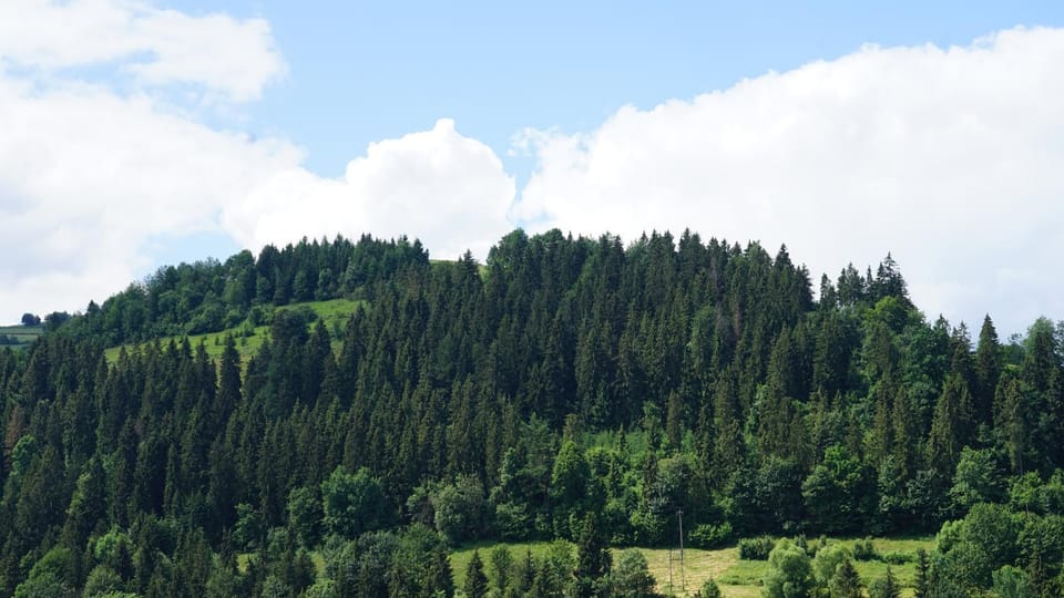 Mountain view