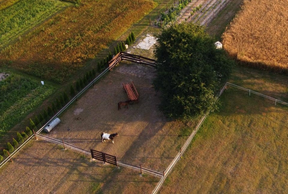 Agroturystyka KRAINA JEZIOR Apartment in Masovian Voivodeship