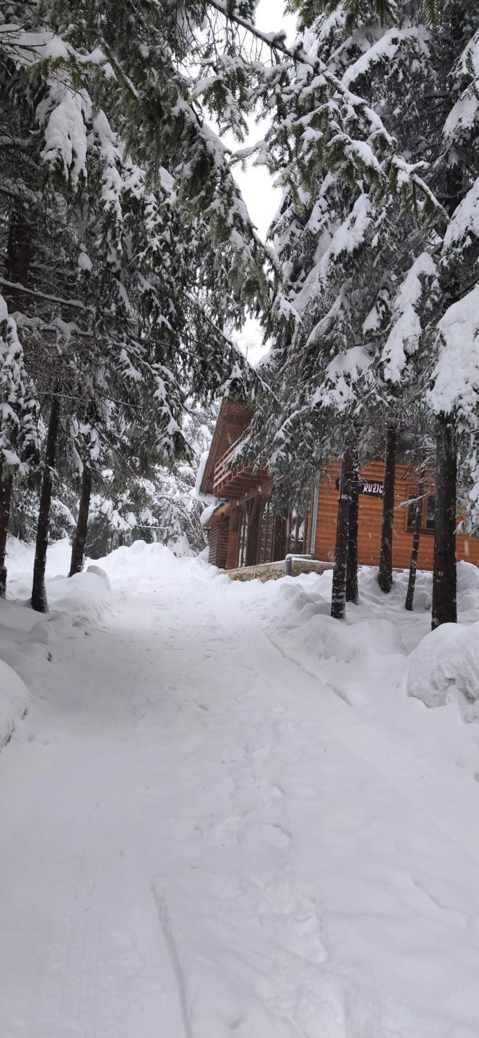 Planinarski dom Ružica Nature lodge in Primorje-Gorski Kotar County