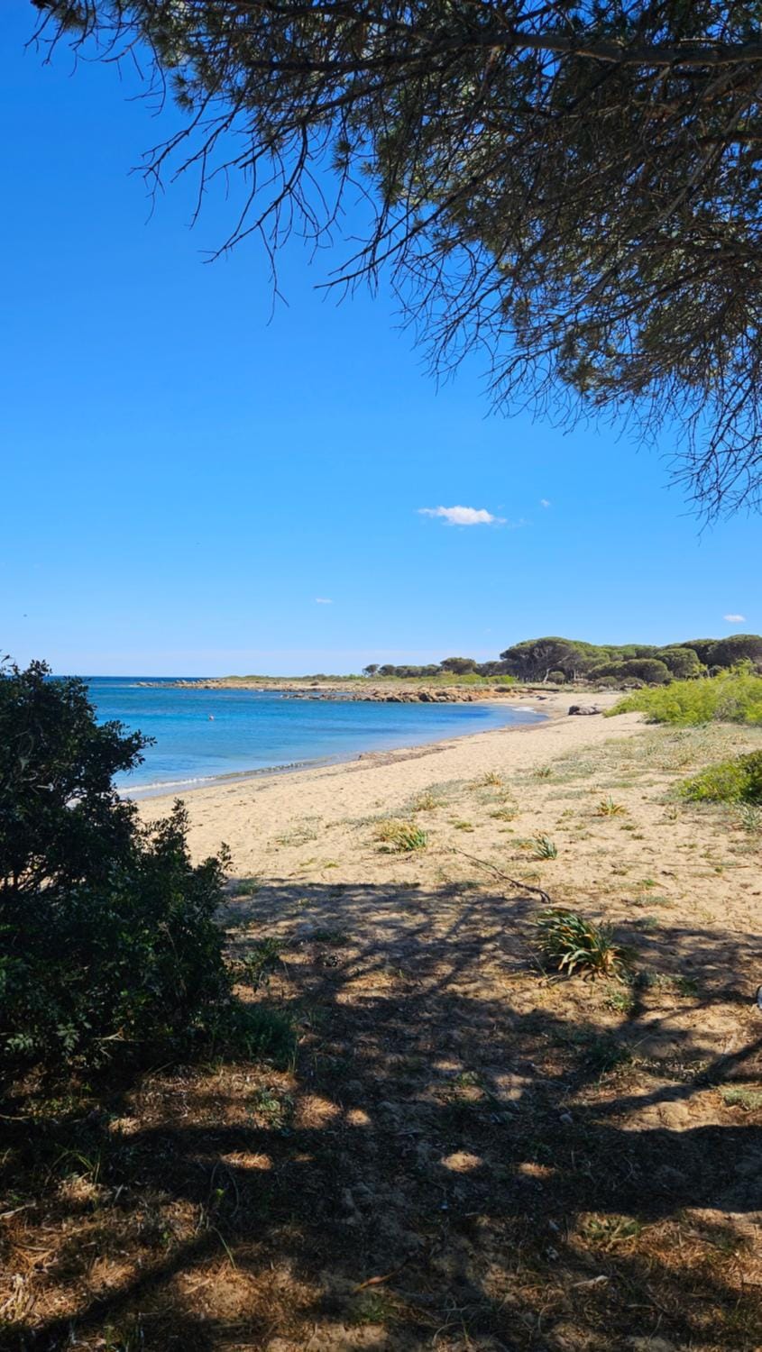 Villa vista pineta - 90 mt dalla spiaggia Apartment in Sardinia