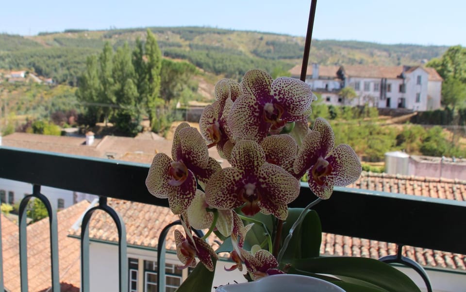 A Moderna - Guest house Casa dos Serpas Apartment hotel in Coimbra District, Portugal