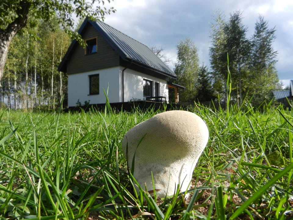 Na Skraju Szlaków House in Lithuania