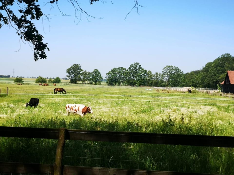 Camping Farm Campground/ 
RV Resort in Lower Silesian Voivodeship