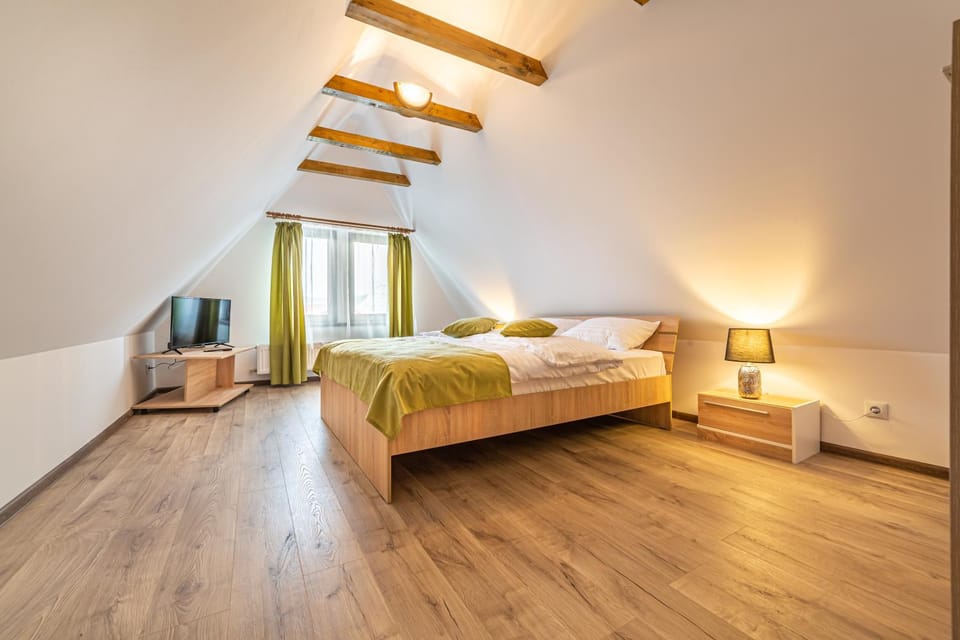 Manuela Residence Apartment in Brasov