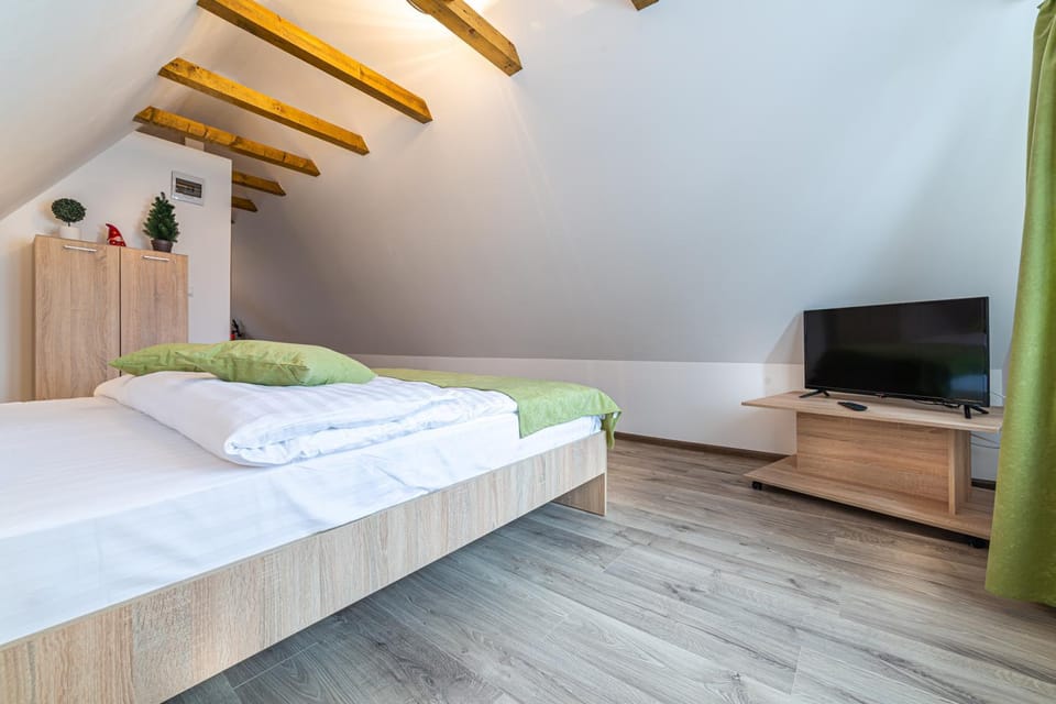 Manuela Residence Apartment in Brasov