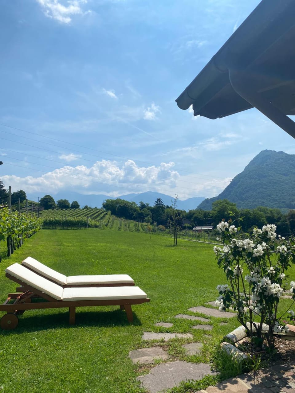 Garden, Garden