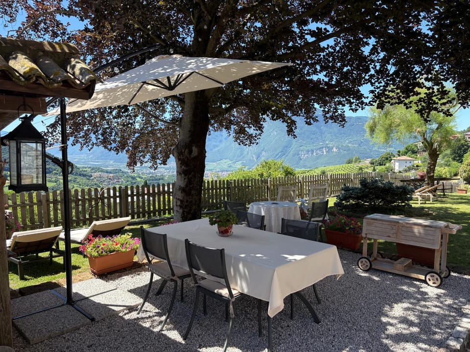 Patio, Garden, Garden view