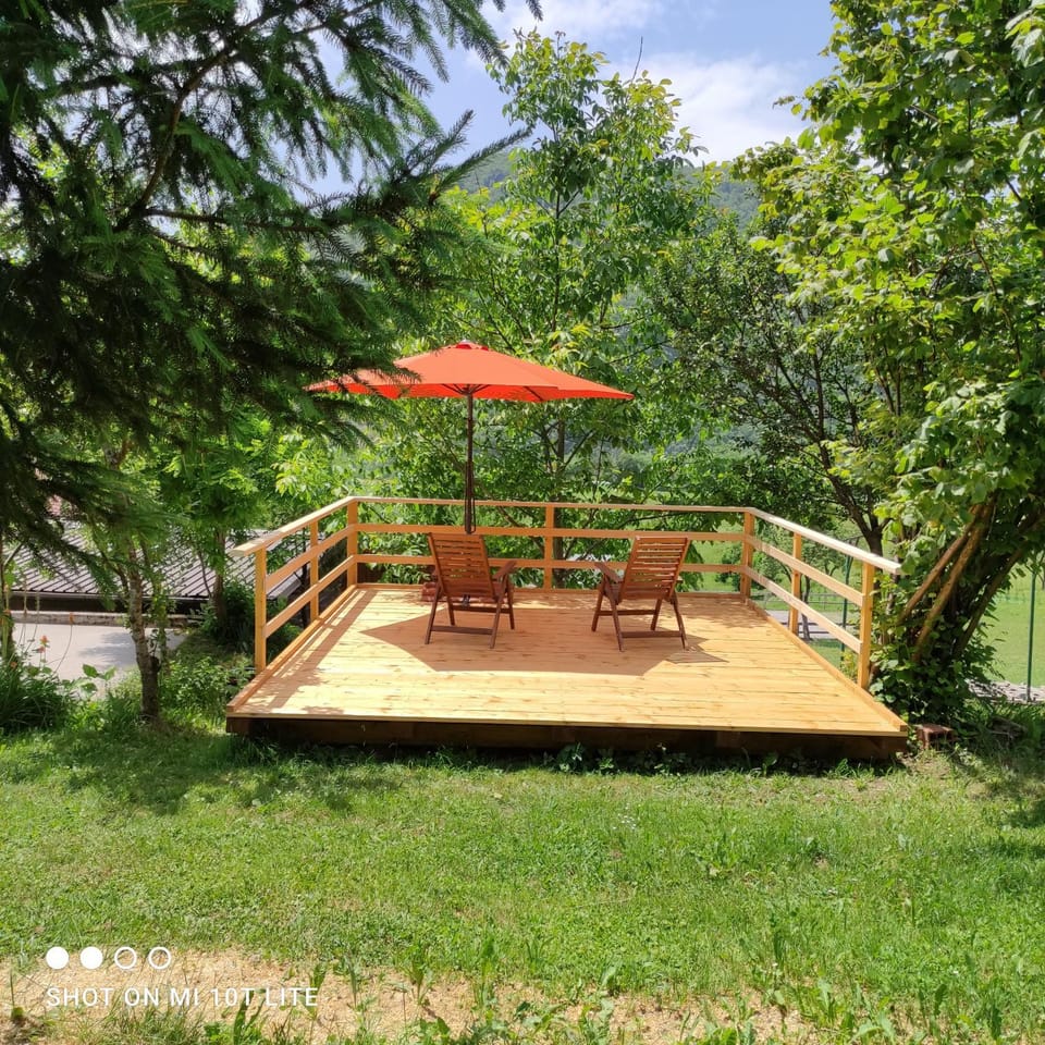 Patio, Natural landscape, Garden, Garden view, sunbed